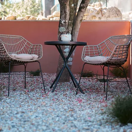 Casa de Férias Pinhão *